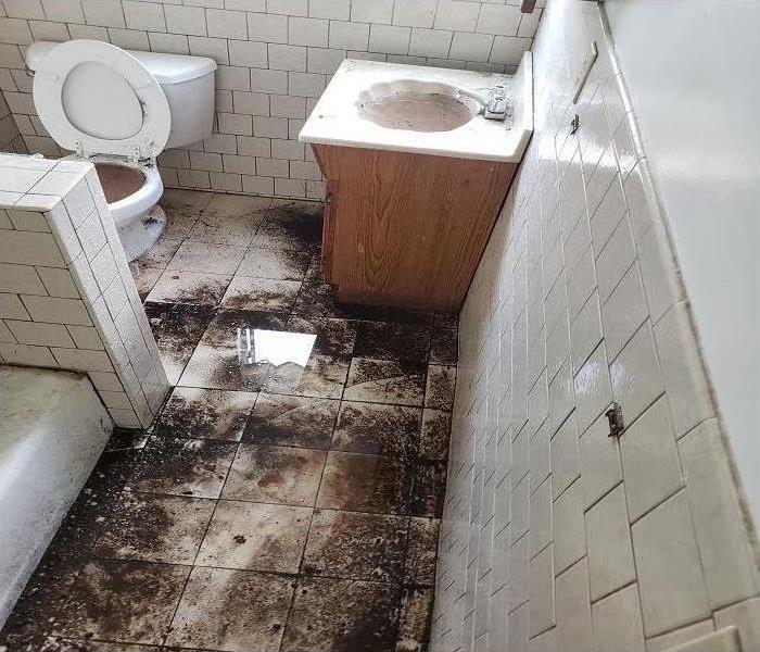 Flooded bathroom with contaminated water caused by sewage backup
